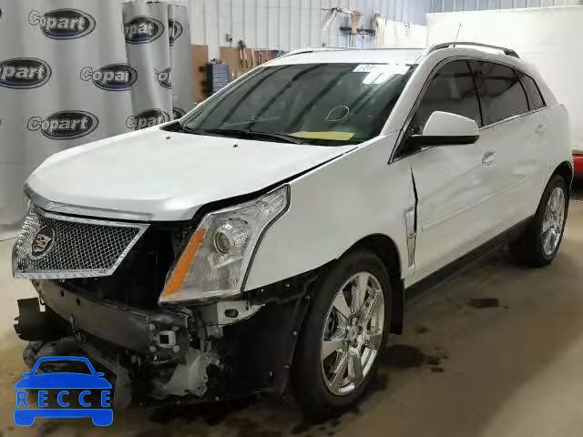 2012 CADILLAC SRX PREMIU 3GYFNCE36CS518380 image 1