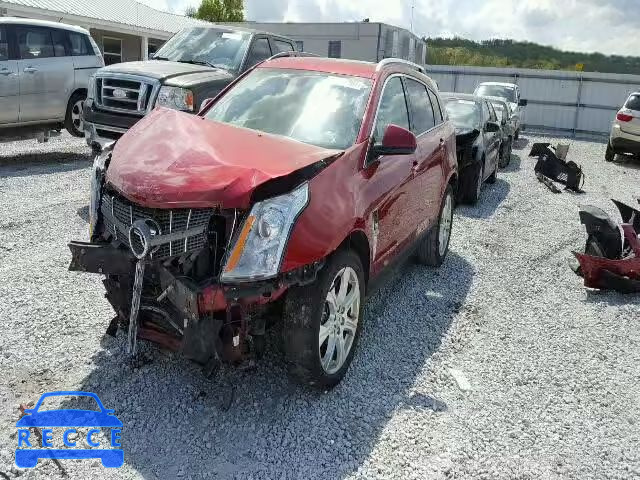 2010 CADILLAC SRX PERFOR 3GYFNBEY8AS636837 image 1