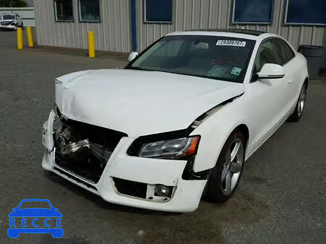 2009 AUDI A5 QUATTRO WAUDK78T59A013138 Bild 1