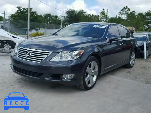 2010 LEXUS LS 460L JTHGL5EF0A5037794 Bild 1