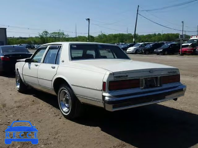 1989 CHEVROLET CAPRICE CL 1G1BN51E3KR152816 image 2