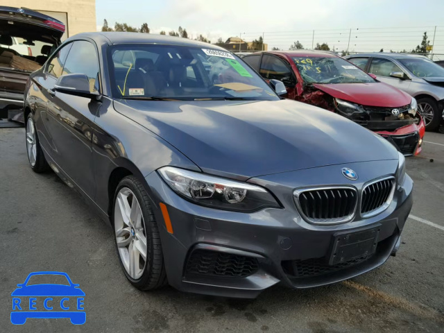 2016 BMW 228 XI WBA1G9C5XGV727037 image 0