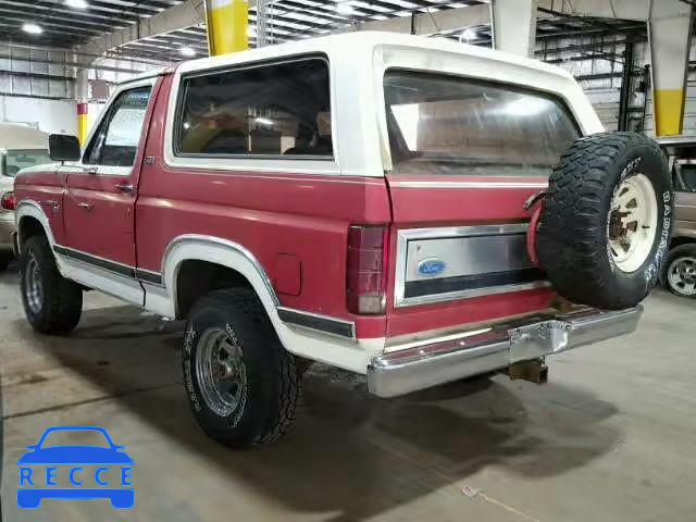 1981 FORD BRONCO U10 1FMEU15F2BLA05355 image 2