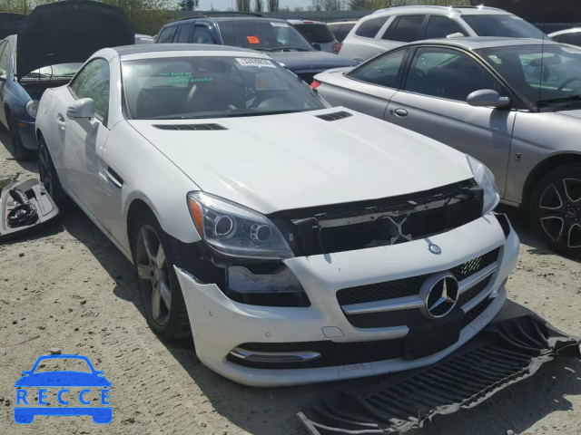 2014 MERCEDES-BENZ SLK 250 WDDPK4HA1EF080982 image 0