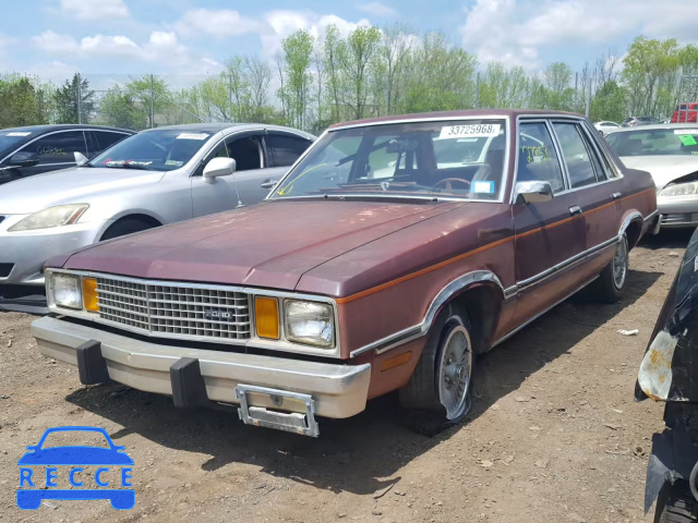 1981 FORD FAIRMONT 1FABP21B2BA169830 Bild 1