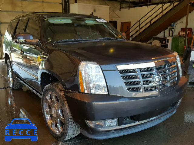 2010 CADILLAC ESCALADE P 1GYUCCEF4AR252171 image 0