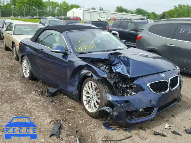 2015 BMW 228 XI WBA1K7C52FV473048 зображення 0