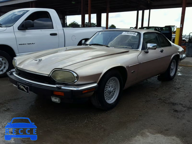 1992 JAGUAR XJS SAJNW5843NC181577 Bild 1