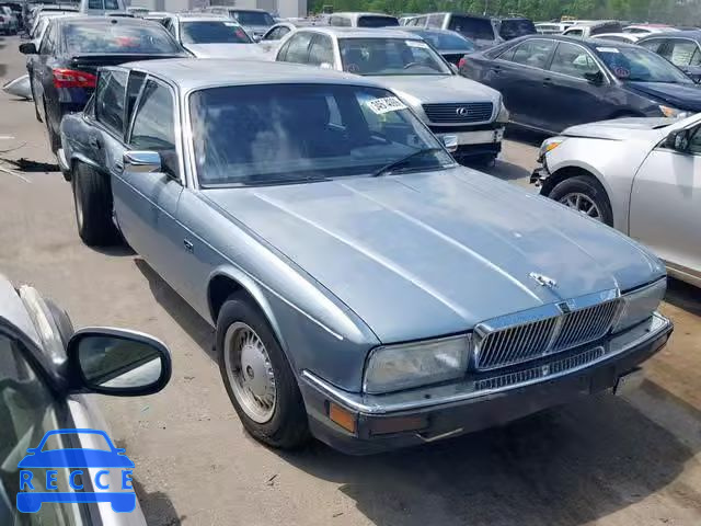 1990 JAGUAR VANDENPLAS SAJKY1748LC615416 зображення 0