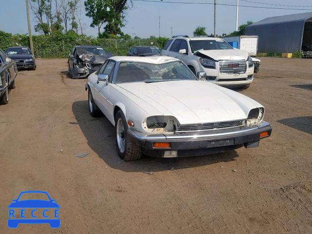 1984 JAGUAR XJS SAJNV5841EC116505 image 0