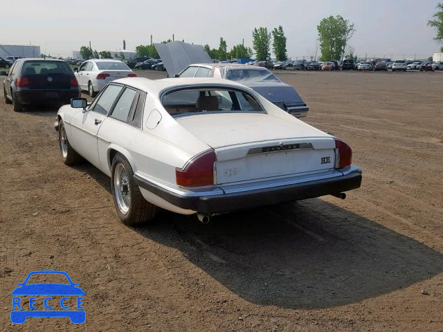 1984 JAGUAR XJS SAJNV5841EC116505 Bild 2