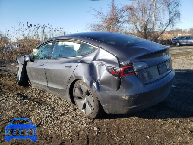 2021 TESLA MODEL 3 5YJ3E1EA7MF850270 image 2