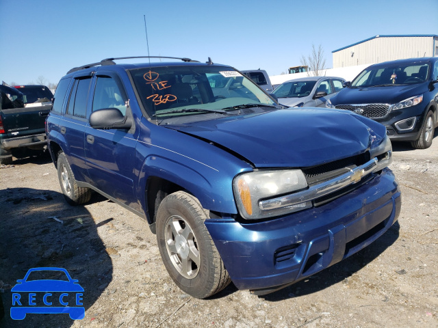 2006 CHEVROLET TRAILBLAZR 1GNDS13S262198504 image 0