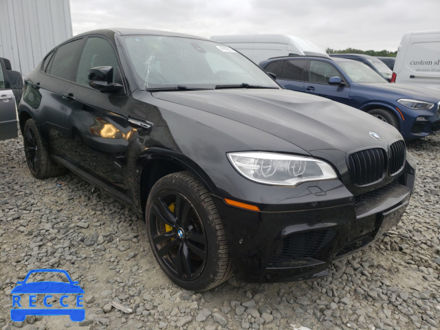 2014 BMW X6 M 5YMGZ0C50E0C40453 зображення 0