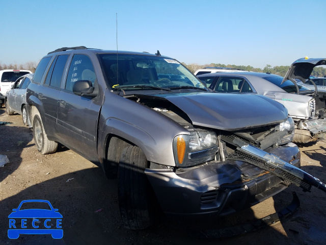 2006 CHEVROLET TRAILBLAZR 1GNDS13S462338892 image 0