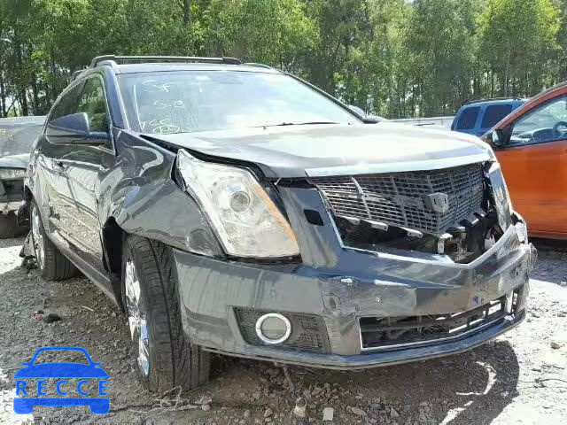 2010 CADILLAC SRX PREMIU 3GYFNKE4XAS635024 зображення 0