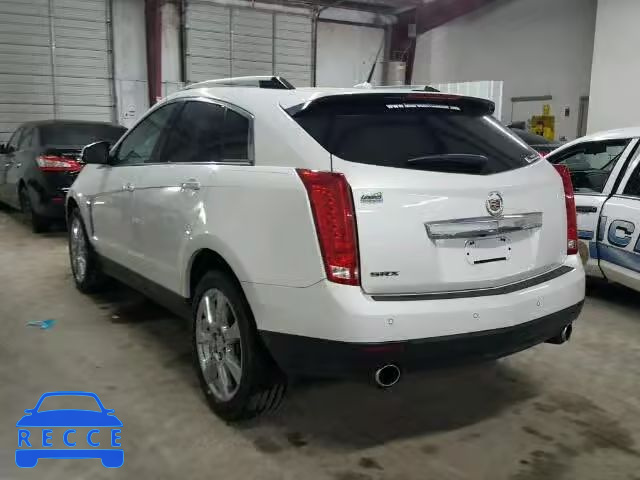 2010 CADILLAC SRX PREMIU 3GYFNCEY0AS568250 зображення 2