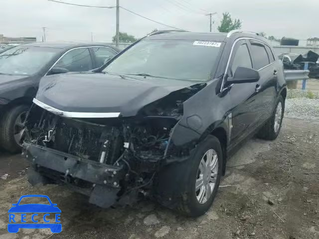 2010 CADILLAC SRX PREMIU 3GYFNFEY5AS594165 image 1