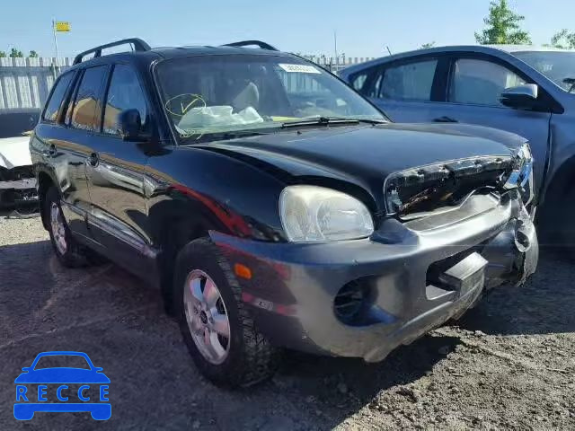 2005 HYUNDAI SANTA FE KM8SB13D55U928857 image 0