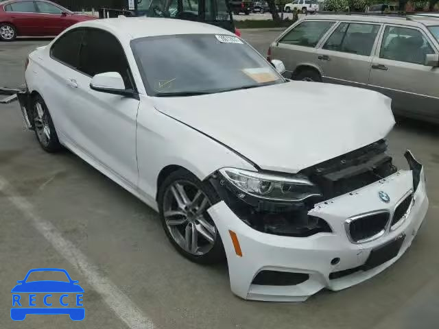 2014 BMW 228I WBA1F5C58EV255929 Bild 0