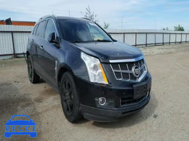 2010 CADILLAC SRX PREMIU 3GYFNCEY0AS604356 image 0