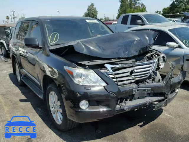 2011 LEXUS LX 570 JTJHY7AX0B4062927 image 0