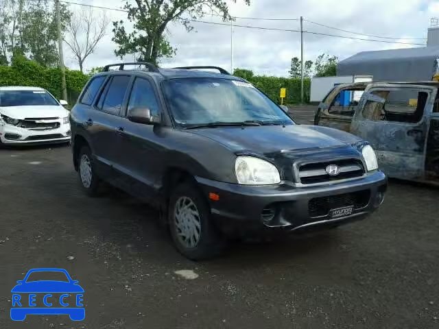 2005 HYUNDAI SANTA FE KM8SB13D55U899828 image 0