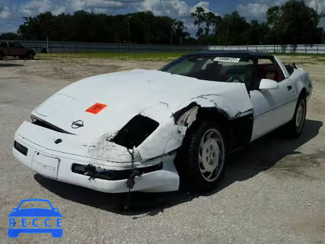 1991 CHEVROLET CORVETTE 1G1YY2384M5110222 image 1