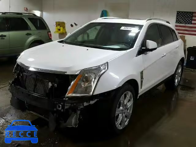 2011 CADILLAC SRX PREMIU 3GYFNFEY6BS551942 image 1