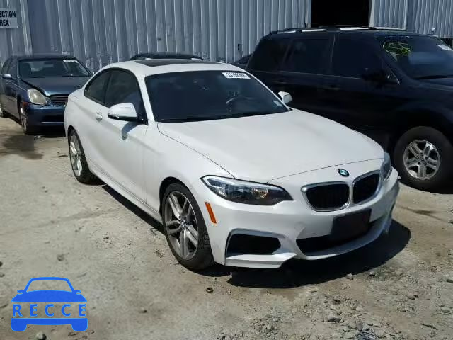 2016 BMW 228 XI WBA1G9C57GV726220 зображення 0