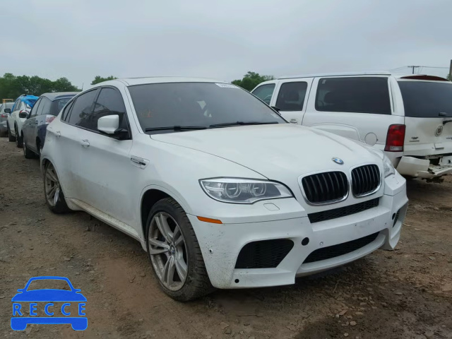 2014 BMW X6 M 5YMGZ0C51E0C40445 image 0