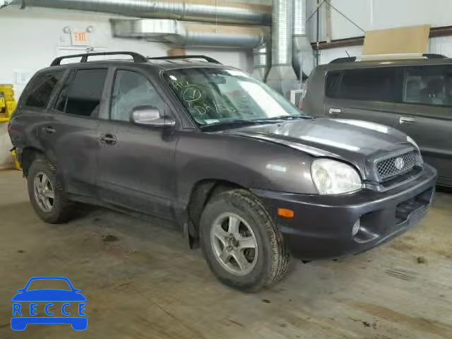 2004 HYUNDAI SANTA FE B KM8SB73DX4U601923 зображення 0