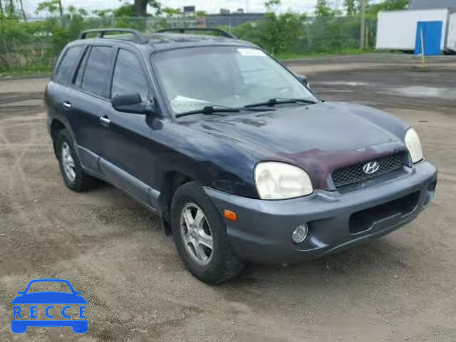 2004 HYUNDAI SANTA FE B KM8SB73E44U621562 зображення 0