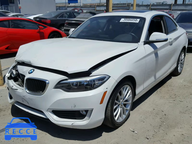 2014 BMW 228 I WBA1F5C58EV255901 image 1