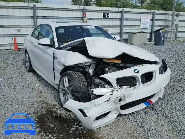 2016 BMW 228I SULEV WBA1F9C5XGV545647 Bild 0