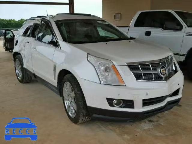 2010 CADILLAC SRX PREMIU 3GYFNCEY6AS639323 image 0