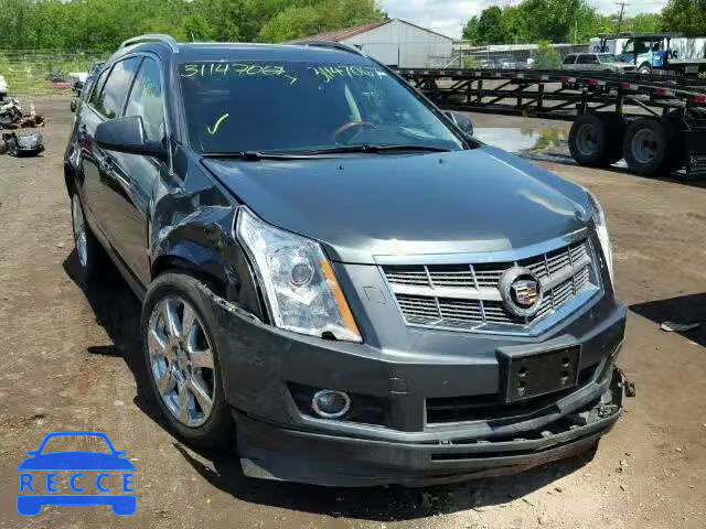 2010 CADILLAC SRX PREMIU 3GYFNFEY7AS602797 image 0