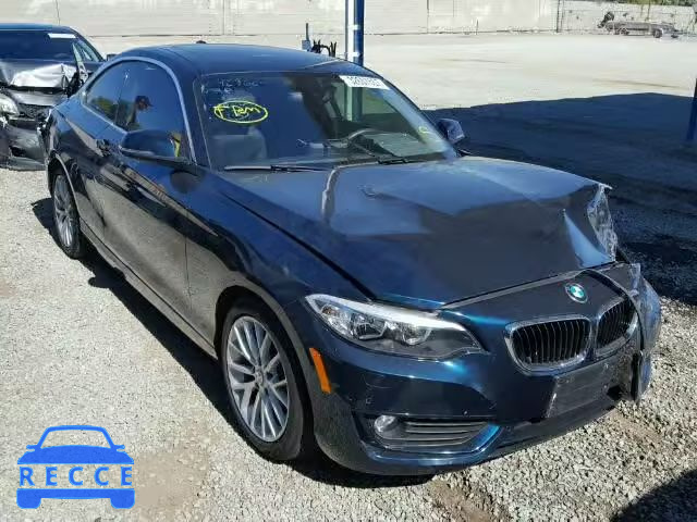 2014 BMW 228I WBA1F5C52EV246076 зображення 0