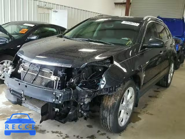 2011 CADILLAC SRX PREMIU 3GYFNFEY9BS555922 image 1