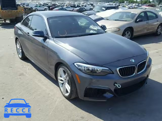 2015 BMW 228I WBA1F5C59FVW98172 зображення 0