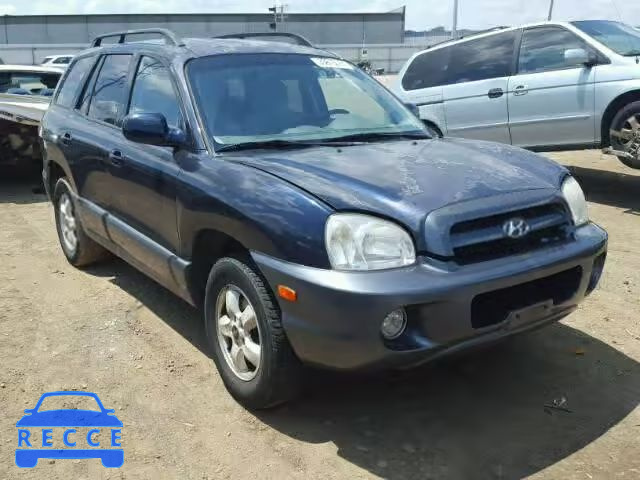 2005 HYUNDAI SANTA FE KM8SC73D2FU917833 image 0