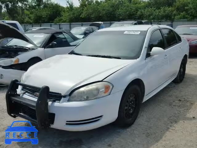 2011 CHEVROLET IMPALA POL 2G1WD5EM6B1289439 зображення 1