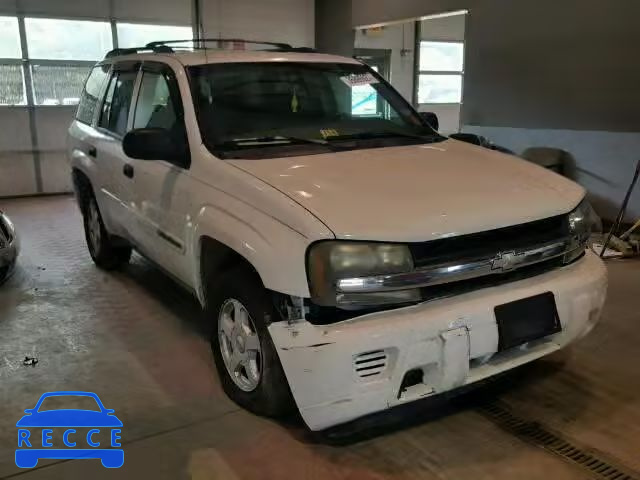 2002 CHEVROLET TRAILBLAZR 1GNDT13S422293069 image 0