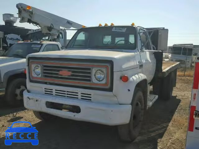 1974 GMC SIERRA CCE534V166804 Bild 1