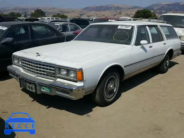 1984 CHEVROLET CAPRICE CL 1G1AN35HXEX142451 image 1
