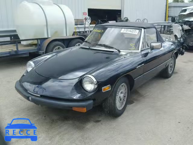 1981 ALFA ROMEO SPIDER VEL ZARBA5411B1012702 Bild 1