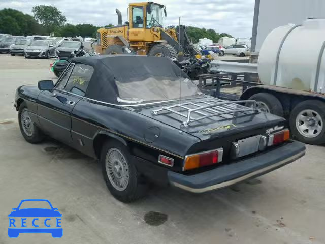 1981 ALFA ROMEO SPIDER VEL ZARBA5411B1012702 Bild 2