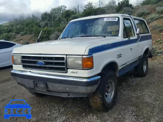 1991 FORD BRONCO U10 1FMEU15H8MLA12556 image 1