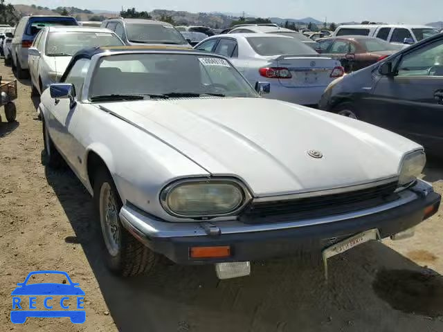 1992 JAGUAR XJS SAJNW4847NC184119 Bild 0