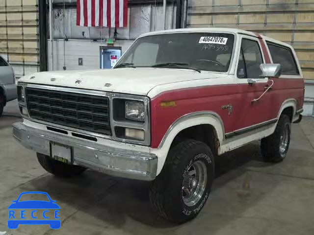 1981 FORD BRONCO U10 1FMEU15F2BLA05355 image 1